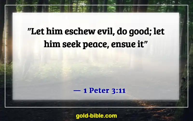 Bible Verses About Blessed Are The Peacemakers (1 Peter 3:11)