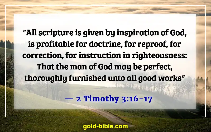 Best Bible Verses For Family Prayer Meeting And Devotion (2 Timothy 3:16-17)