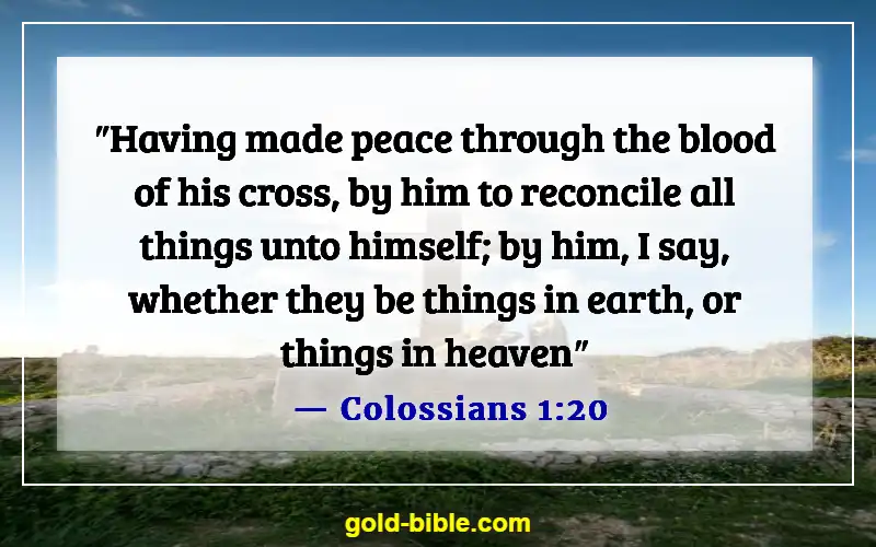 Bible Verses About Blessed Are The Peacemakers (Colossians 1:20)