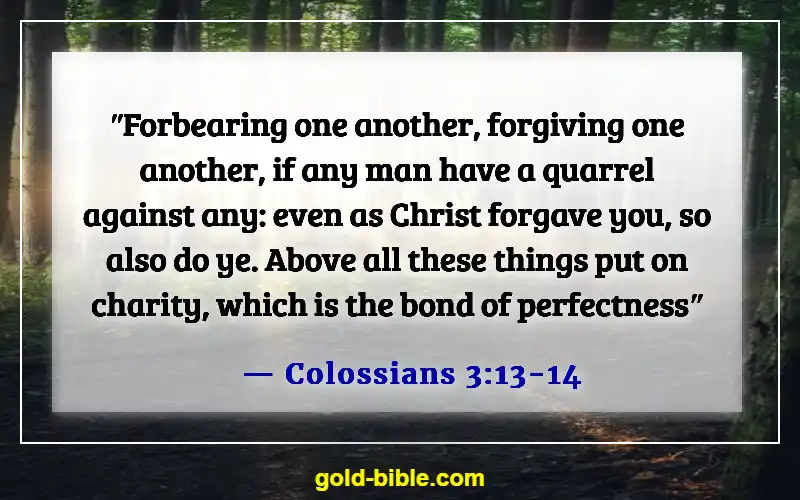 Best Bible Verses For Family Prayer Meeting And Devotion (Colossians 3:13-14)