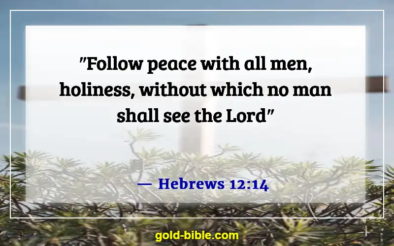 Bible Verses About Blessed Are The Peacemakers (Hebrews 12:14)