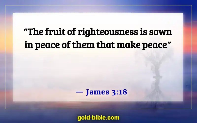 Bible Verses About Blessed Are The Peacemakers (James 3:18)