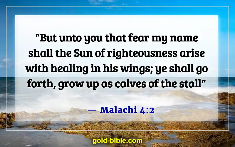 Bible Verses About Jesus Being The Light (Malachi 4:2)