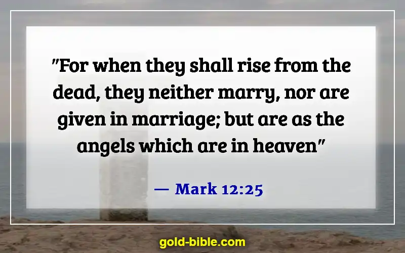 Husband And Wife Reunited In Heaven Bible Verse (Mark 12:25)