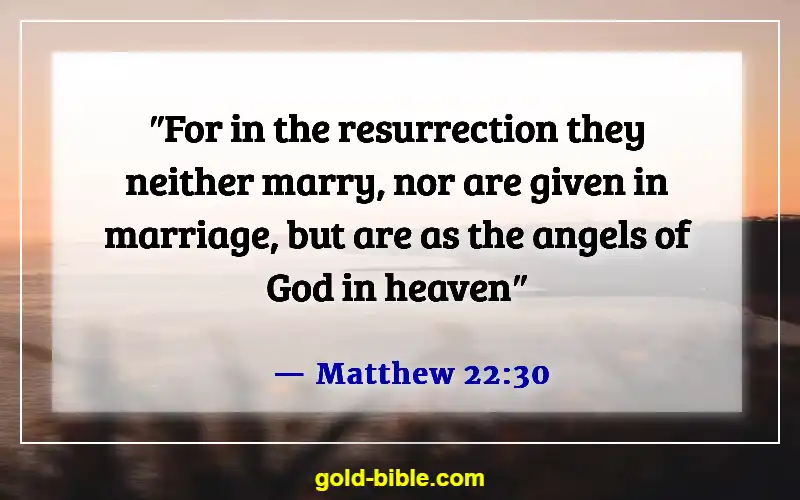 Husband And Wife Reunited In Heaven Bible Verse (Matthew 22:30)