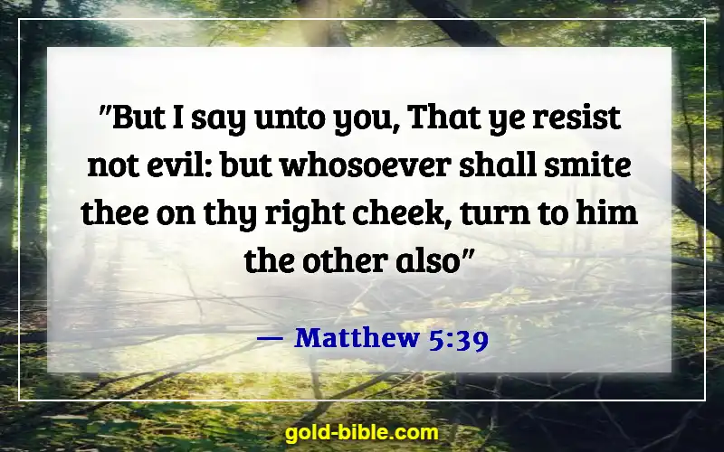 Bible Verses About Someone Doing You Wrong (Matthew 5:39)