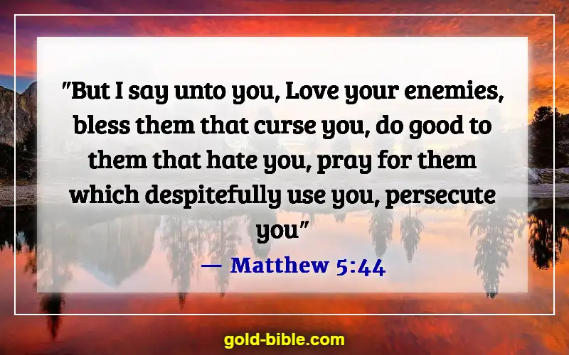 Bible Verses About Someone Doing You Wrong (Matthew 5:44)