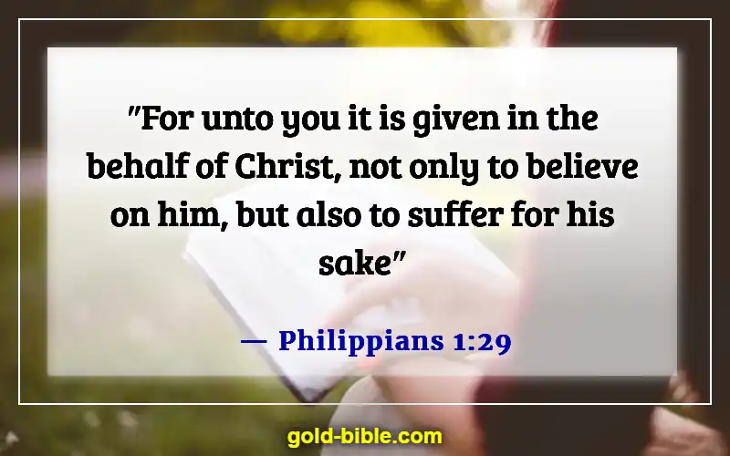 Bible Verses About My Joy Comes From The Lord (Philippians 1:29)