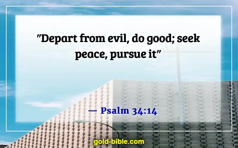 Bible Verses About Blessed Are The Peacemakers (Psalm 34:14)