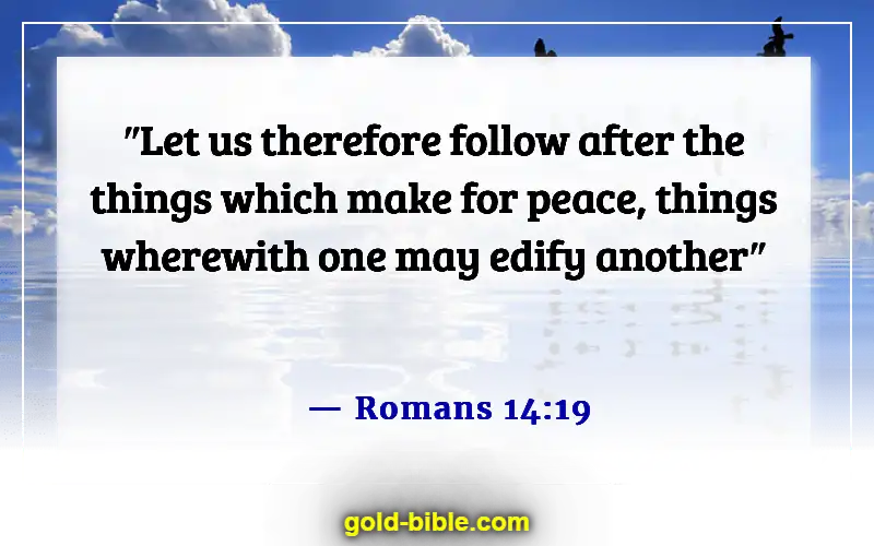 Bible Verses About Blessed Are The Peacemakers (Romans 14:19)