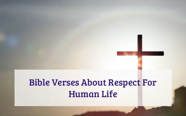 Bible Verses About Respect For Human Life