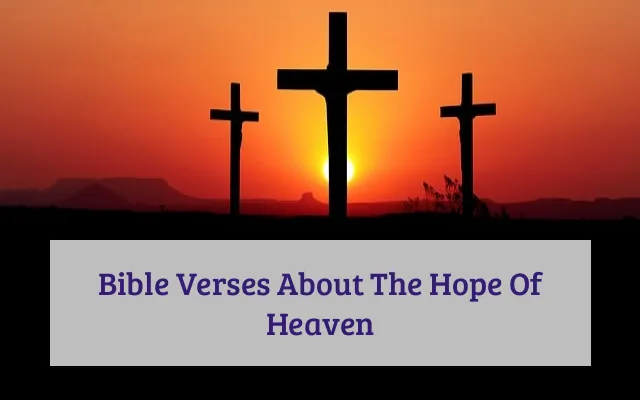 Bible Verses About The Hope Of Heaven - KJV